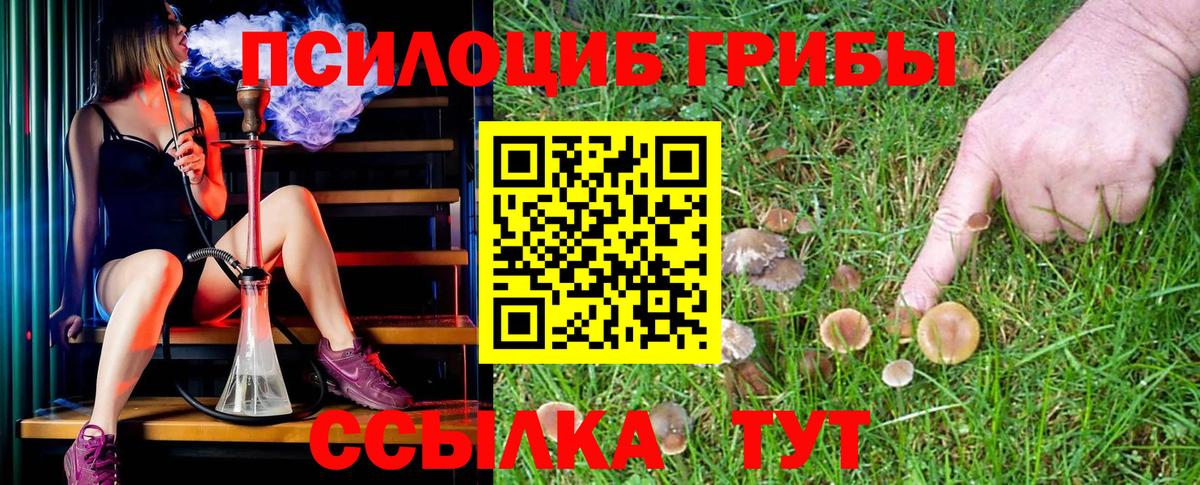 Среднеуральск  Галлюциногенные грибы MAGIC MUSHROOMS  Вход с VPN 