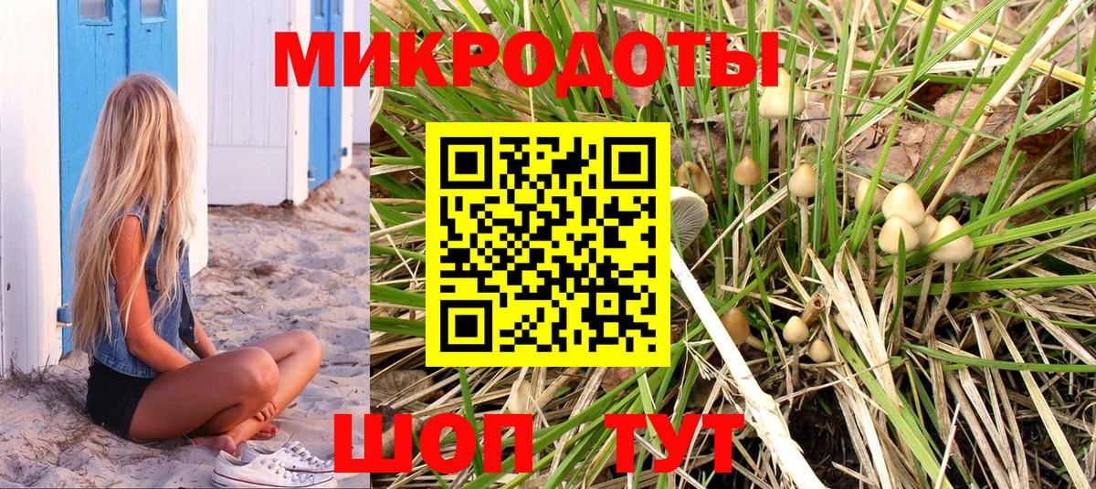 Галлюциногенные грибы GOLDEN TEACHER Среднеуральск